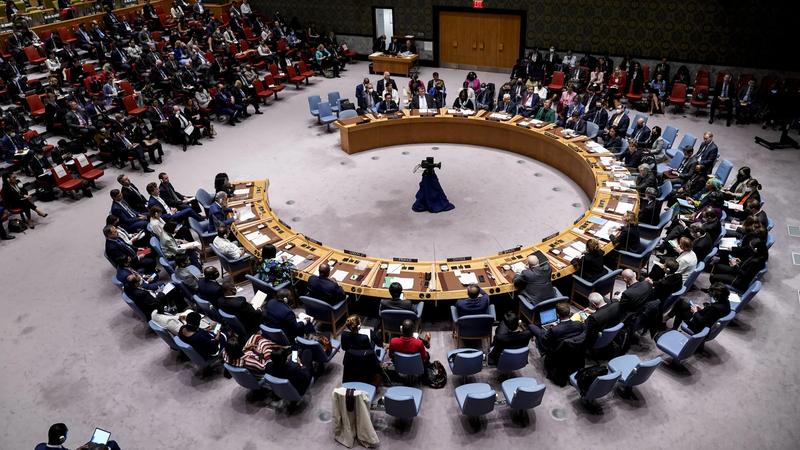 مجلس الأمن يقرر تمديد البعثة الأممية في جنوب السودان سنة كاملة