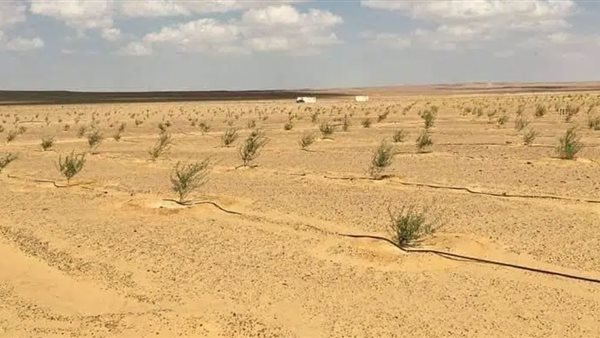 نائب ضد الشعب .. كيف انفضحت ادعاءات "جنيدي" في بني سويف؟