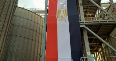 الذهب الأصفر.. تعرف على إجراءات وشروط توريد محصول القمح بالبحيرة .