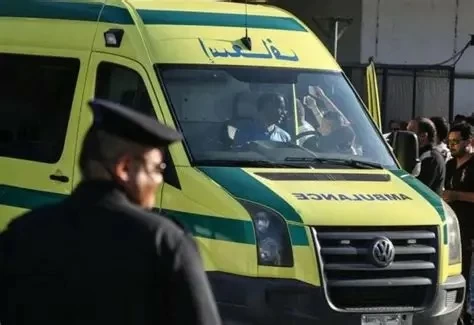 عاجل | بعد مشادة كلامية بينهما.. رجل أعمال مصري ينهي حياة زوجته بـ 25 طعنة