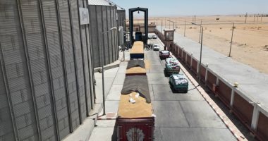 من الإفلاس للربح.. مطاحن الجيزة تودع زمن الخسائر وتكشف خطة سد ديون التموين