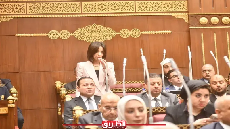 دعمًا للسياحة.. يوستينا رامي تطالب بتفعيل الأطر القانونية لشركات تجهيز وإدارة الشقق الفندقية