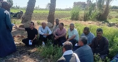 جهود "زراعة الفيوم" لتنمية القطاع وزيادة إنتاجية المحاصيل