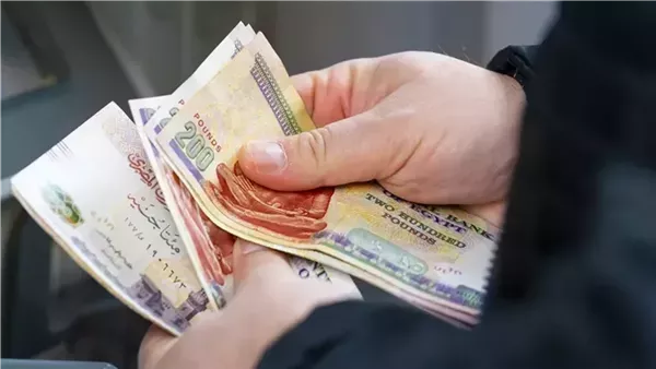 المالية تعلن تبكيرا جديدا في صرف مرتبات شهر مارس لجميع العاملين بالدولة