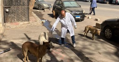 بيطري المنيا يواصل تنفيذ الحملة القومية لمكافحة السعار خلال شهر مارس