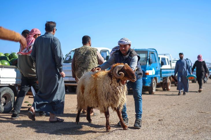 “أغنام الترانزيت” تشعل أزمة بين سوريا والأردن