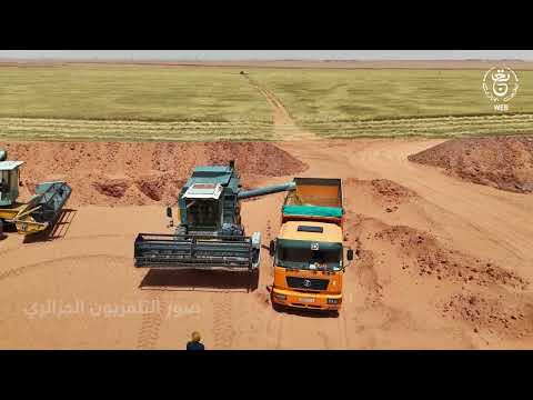 أدرار- بداية استغلال المراكز الوسيطة لتخزين الحبوب