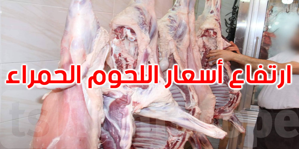 فوزي الزياني: تراجع القطيع وراء ارتفاع أسعار اللحوم الحمراء