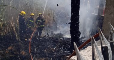 السيطرة على حريق بمخلفات وهيش داخل سور مستشفي بنها التعليمي