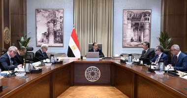 رئيس الوزراء يُتابع مستجدات مشروع إنشاء مركز عالمي لتخزين وتوريد وتجارة الحبوب والزيوت في مصر