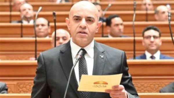 نائب "حماة الوطن" يكشف حقيقة إبقاء سن الحضانة 15 سنة بمشروع قانون الأحوال الشخصية