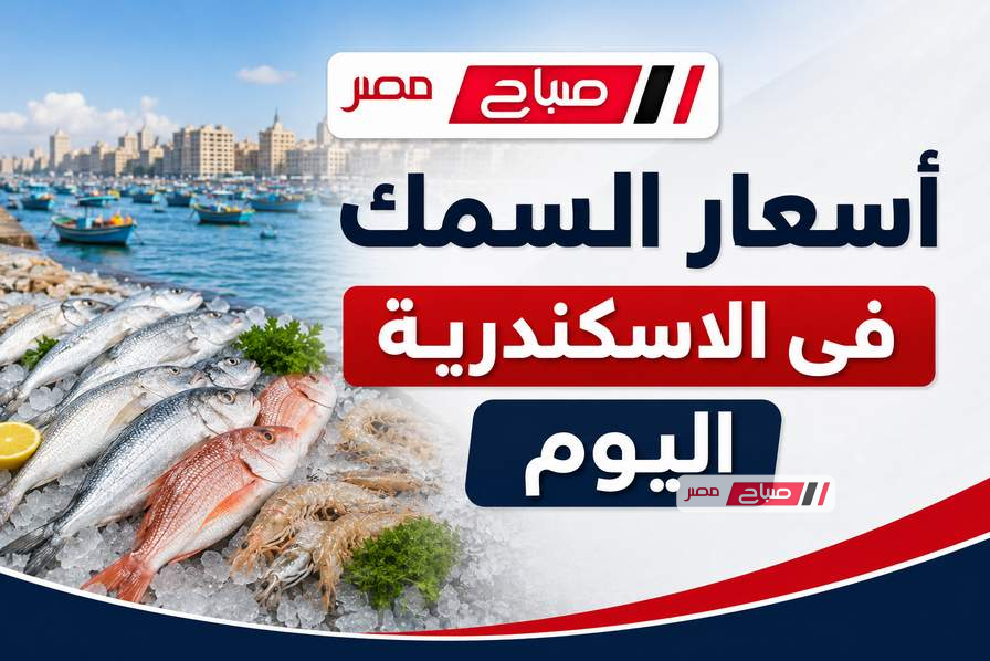 من حلقة الأنفوشي.. أسعار الأسماك اليوم السبت 16 مايو 2026 في الإسكندرية