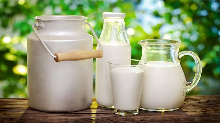 تعرف على فوائد وأضرار الإفراط في تناول الحليب