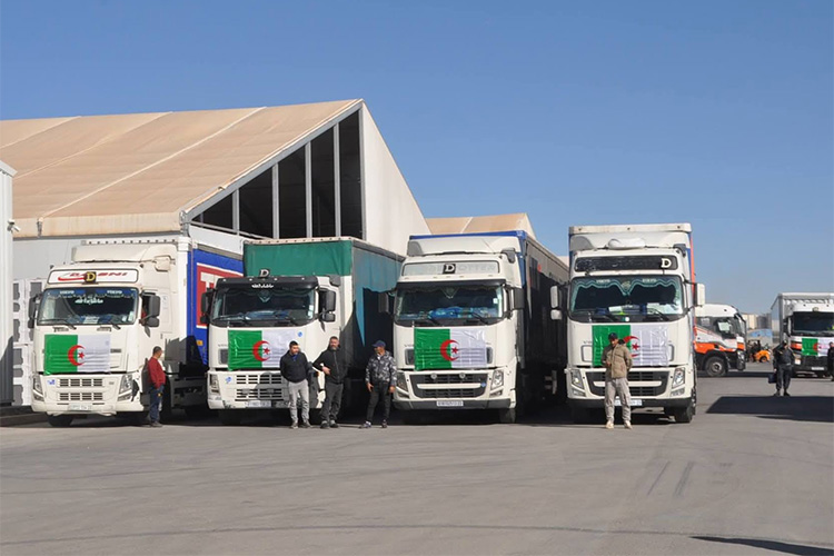 انطلاق 4 شحنات تصدير من سطيف نحو دول إفريقية وأوروبية