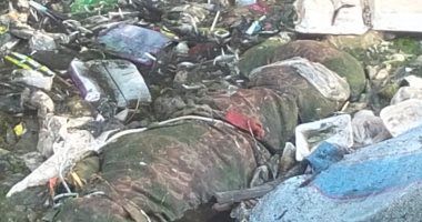 كلب نافق.. أمن القليوبية ينفى صحة منشور بوجود جثة بمصرف فى شبين القناطر