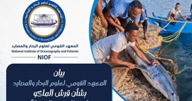 المعهد القومي لعلوم البحار والمصايد ينتقد ما تعرض له قرش القصير