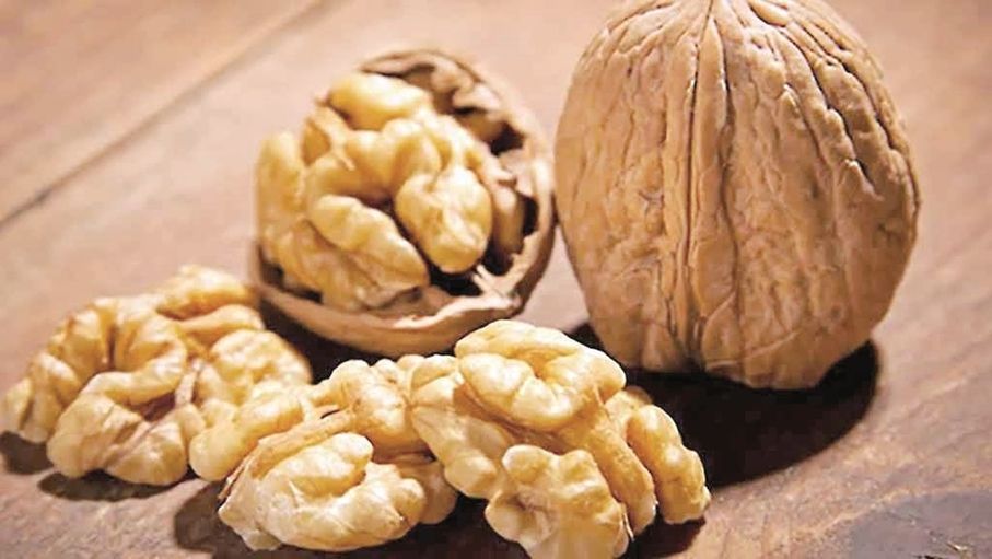 فوائد عدة للجوز.. وجبة صغيرة بقيمة صحية كبيرة