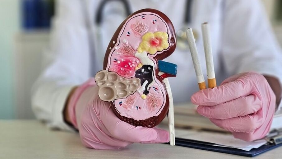 7 أضرار للتدخين على صحة المسالك البولية