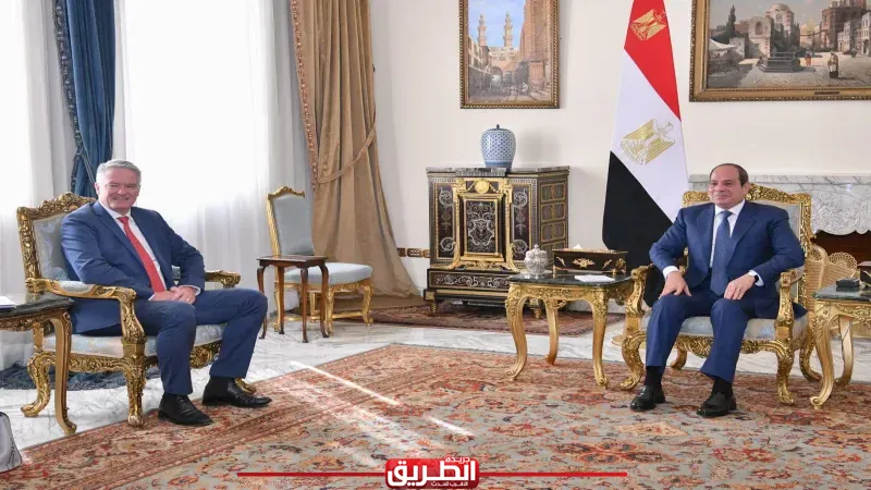 السيسي: مصر تستضيف 10 ملايين أجنبي يحصلون على الخدمات كالمصريين دون استغلال سياسي
