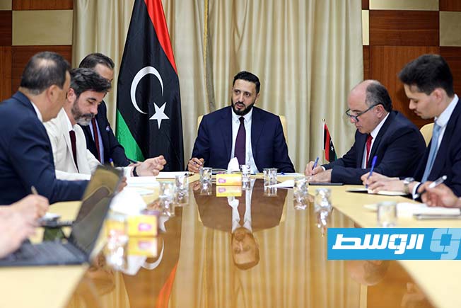 أبوشيحة يبحث مع «خبراء فرنسا» تعزيز الاستثمارات الخضراء