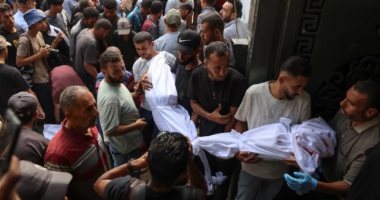 باميه: قتلى أطفال غزة فى 4 أشهر يفوق ضحايا نزاعات أخر أربع سنوات