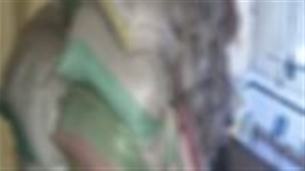 ضبط 17 طن عسل أسود و2 طن تبغ خام داخل مصنع غير مرخص بالدقهلية