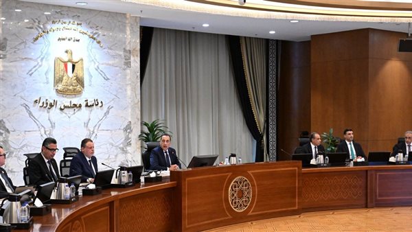 10 منها بقطاع البترول.. الحكومة تؤكد تجهيز 18 شركة للقيد في البورصة| عاجل