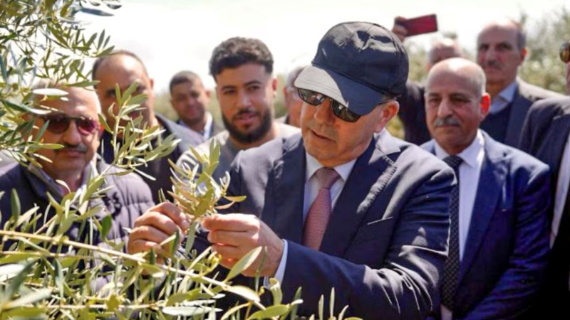 انتشار مرض أشجار الأركان في اشتوكة أيت باها