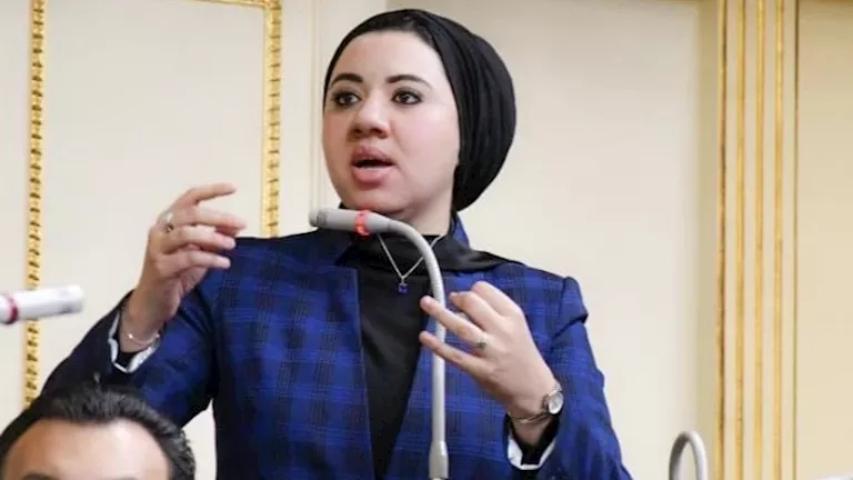 برلمانية تتقدم باقتراح لتحويل أعمدة الإنارة بالطرق للعمل بالطاقة الشمس