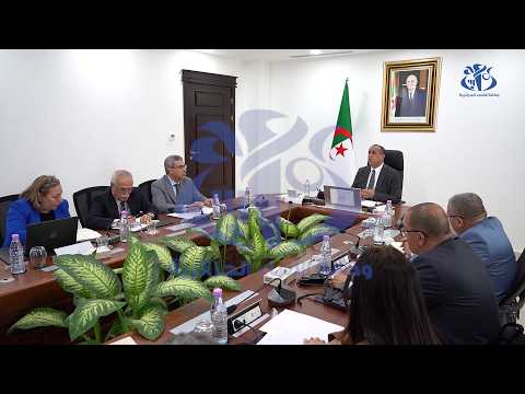 السيد عجال يعقد لقاء عن بعد مع مسؤولي قطاع الطاقة ومدراء شركات مجمع سونلغاز تحضيرا لصائفة 2026