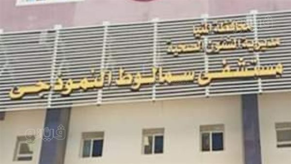 بالأسماء، ارتفاع عدد المصابين في واقعة التسمم داخل مزرعة عنب بالمنيا لـ 19 شخصا