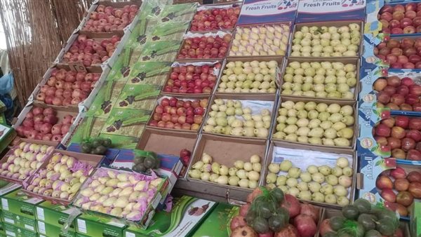 لعزومة أول أيام رمضان، معهد التغذية يقدم نصائح لشراء الخضراوات والفاكهة الجيدة