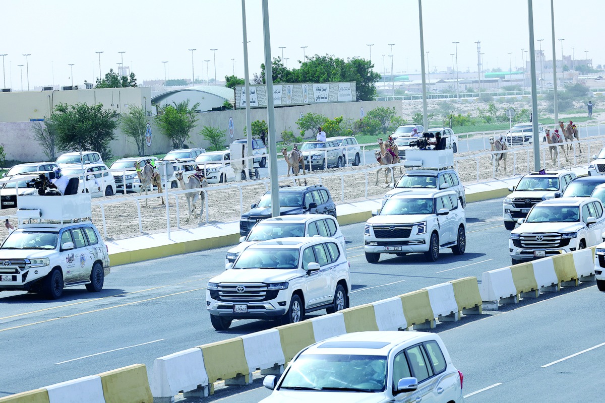 ‫ اليوم على مضمار 6 كم.. منازلات قوية على رموز الجذاع الفضية