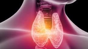 طرق تناول أدوية الغدة الدرقية في رمضان