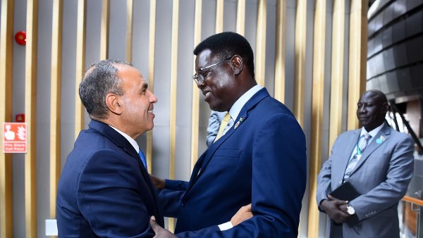 «عبدالعاطي» يؤكد على دعم مصر الكامل لتحقيق الأمن والاستقرار في جنوب السودان