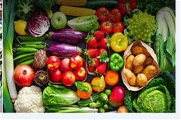 الإحصاء: 432 مليون دولار صادرات مصر من الخضروات خلال شهري يناير وفبراير