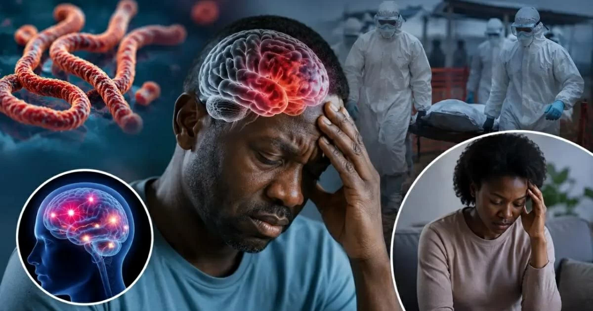 نتائج صادمة: «إيبولا» يبقى في الجسم 120 يوماً داخل خلايا الدماغ
