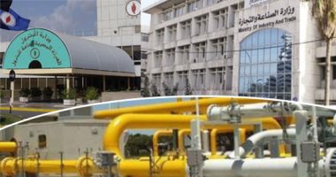 القانون يحدد حالات شطب المنشأة من السجل الصناعى