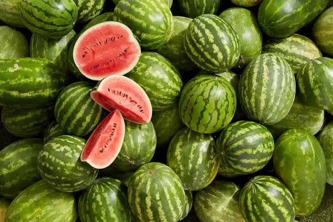 البطيخ يتصدر مشهد الصيف بإنتاج وفير