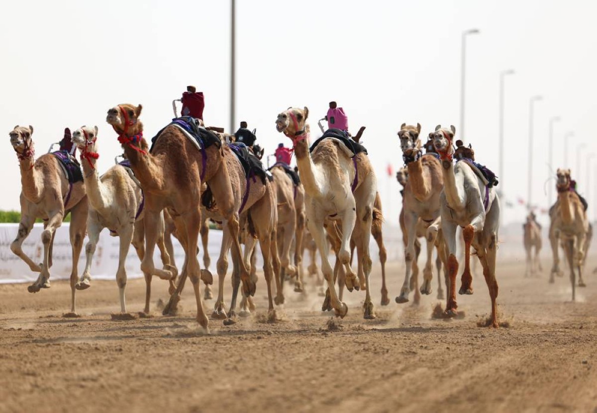 سلطان بن حمدان يشهد أشواط الرموز لمنافسات الحقايق بختامي الوثبة