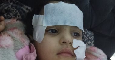 إخلاء سبيل لوبا الحلو فى واقعة تعرض طفلة لهجوم أسد