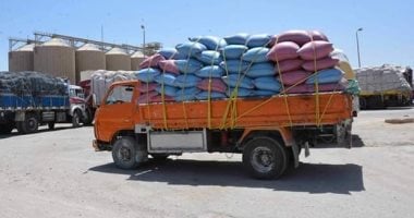 تموين المنوفية: توريد 146 ألف 500 طن قمح منذ بدء موسم الحصاد