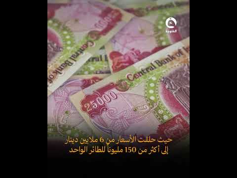 حمام القلاب… هواية تتحول إلى تجارة بالملايين في مزاد سفوان