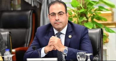شباب المصريين بالخارج يثمن اختيار السفير علاء يوسف رئيسا لهيئة الاستعلامات