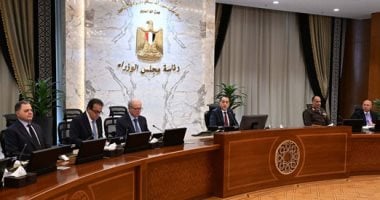 20 معلومة عن وحدة الشركات المملوكة للدولة بمجلس الوزراء واختصاصاتها