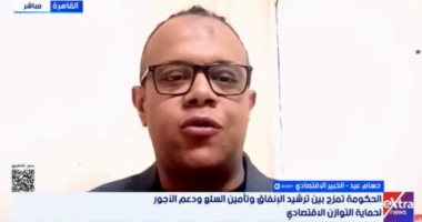 خبير: استمرار الأزمات العالمية يستوجب استمرار الحكومة فى خططها الاستباقية
