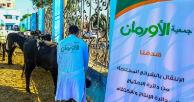 دار الإفتاء والأورمان تطلقان حملة للتوعية بصك الأضاحى