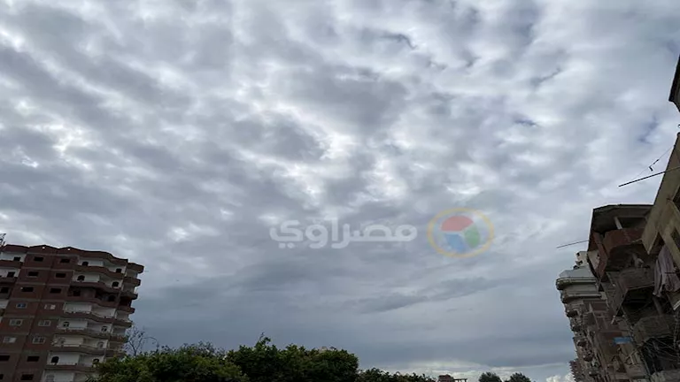 غيوم ورياح خفيفة.. موجة صقيع تجتاح كفر الشيخ