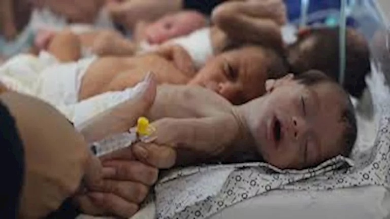 تسجيل 3044 مولودا جديدا في غزة خلال فبراير