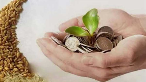 هل يجوز تبادل زكاة الفطر بين الفقراء بعضهم لبعض؟ الإفتاء تجيب